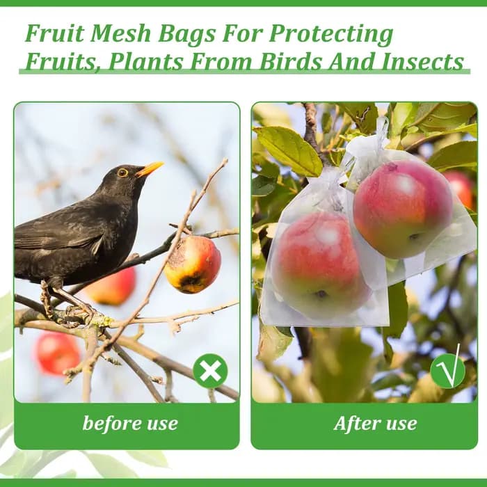 Sacs de Protection des Fruits, 10 à 100 pièces, sacs en filet pour fruits avec cordon de serrage, sa