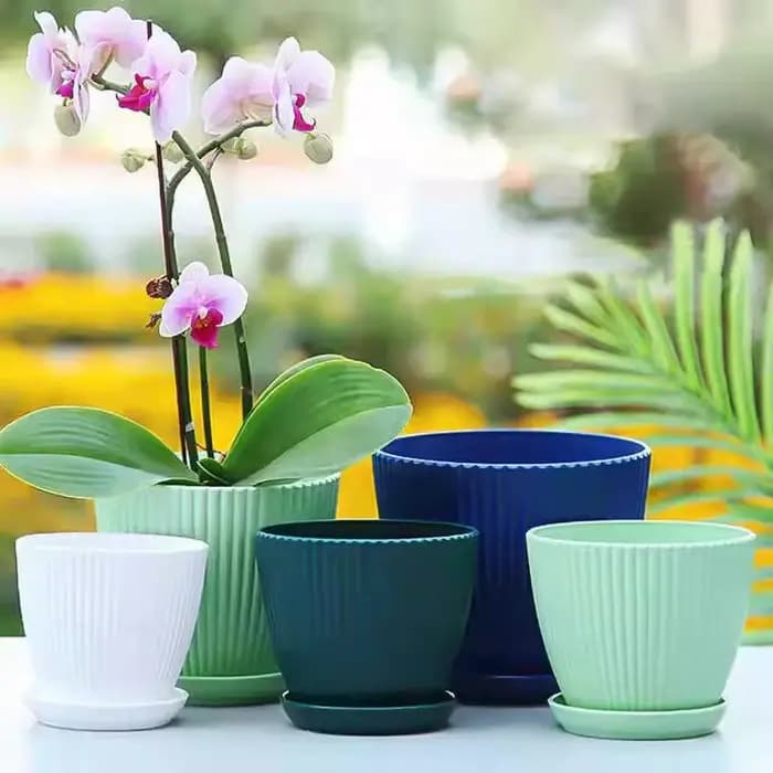 Pot de fleur en plastique Pot de plante succulente avec plateau aneth vert rond Double couche petit Pot