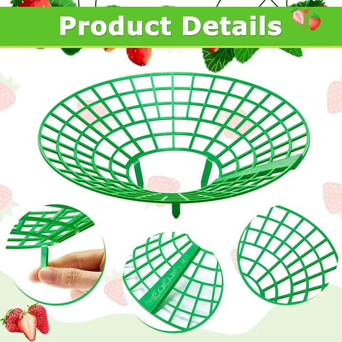 Supports pour plantes à fraises, 5 à 50 pièces, avec 3 jambes robustes, supports de culture de frais
