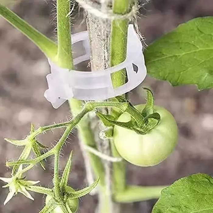 Clips de Support de plantes en plastique, outil de fixation de greffage pour légumes, tomates, fourn