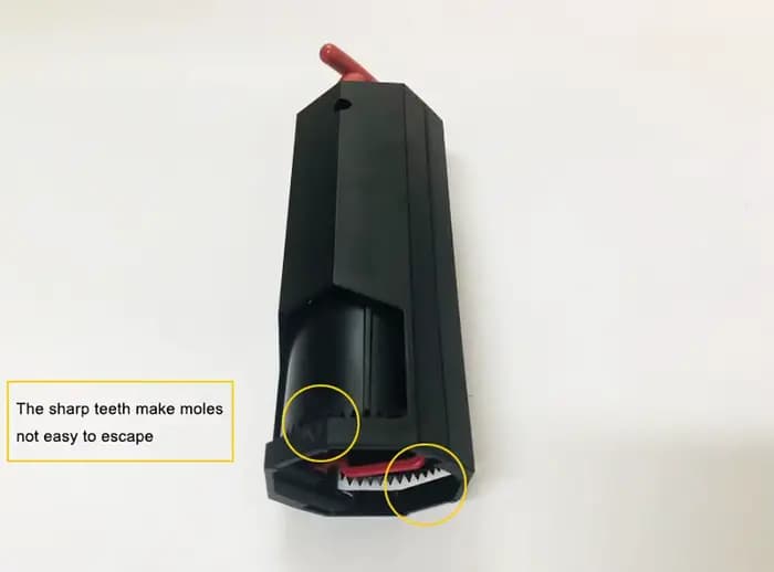 Piège à taupes en plastique réutilisable pour jardin extérieur, ensemble facile, collecteur de volet