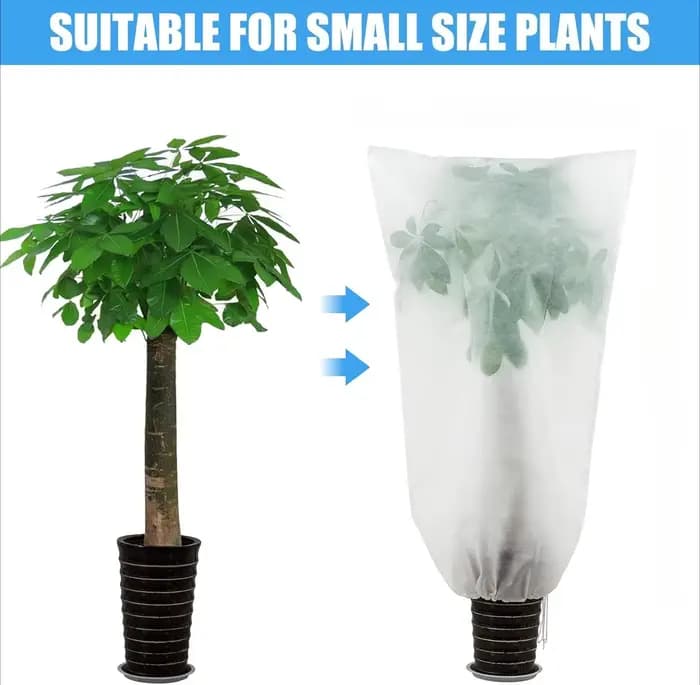 Sac de Protection contre le gel pour plantes d'hiver