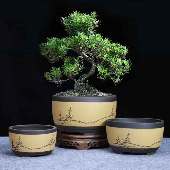 Pot de fleurs de bonsaï rond en céramique