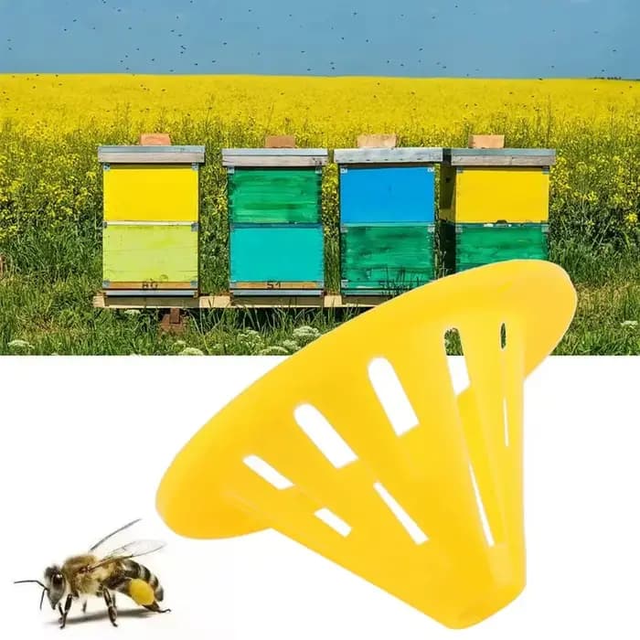 5 pièges à guêpes réutilisables jaunes en forme de cône, attrape-insectes, tue-guêpes, frelons, abei