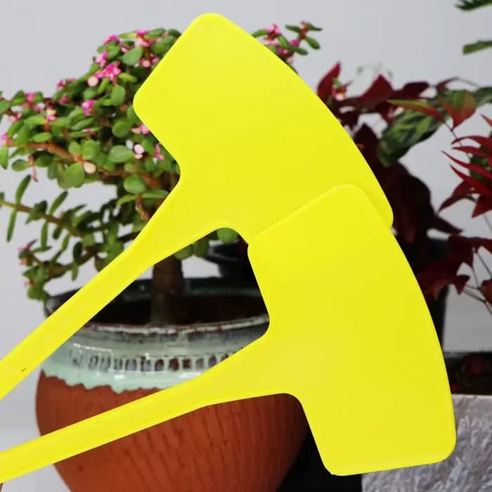 Étiquettes jaunes de Pot de jardin Type T, plaque d'enregistrement étanche d'intérieur et d'extérieu