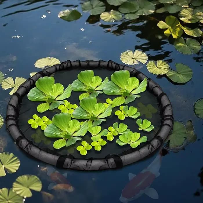 Filet de protection solaire pour plantes d'étang, 45/60/80cm, plante poreuse, nouveau filet circulai