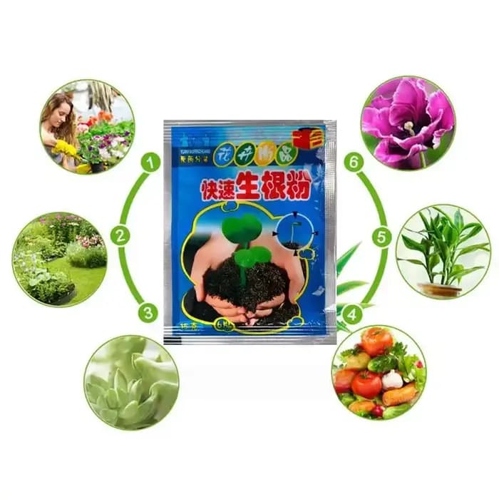 Poudre d'enracinement rapide pour plantes, 5 pièces, Agent d'enracinement rapide, Hormone, croissanc