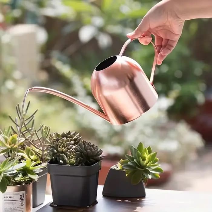 Pot d'arrosage en acier inoxydable, 1 pièce, ponçage en cuivre, sable, or, plantes de jardin, buse à