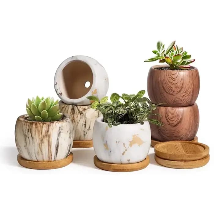 Pots de fleurs succulentes à transfert d'eau en céramique