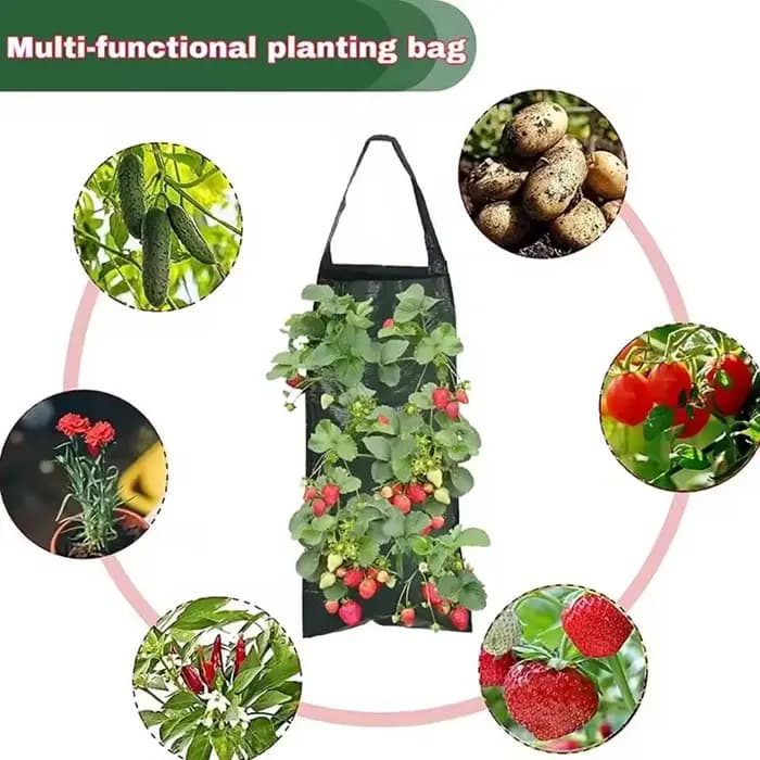 Sacs de culture suspendus pour fraises et tomates