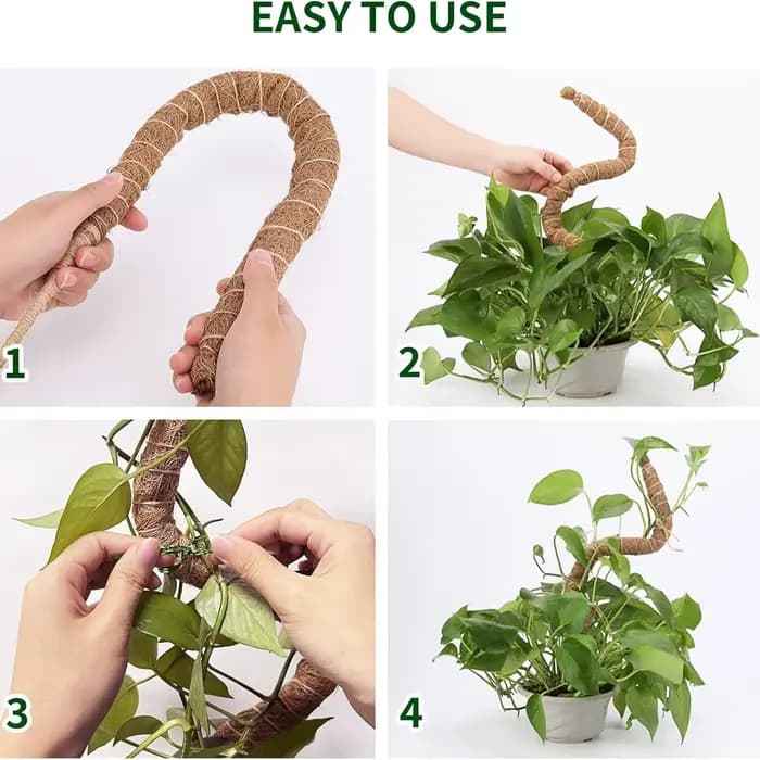 Support de grimpement pliable pour plantes, en fibre de coco, déformable, avec base de fixation, typ