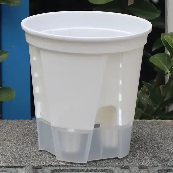 Pot d'orchidée transparent avec trous