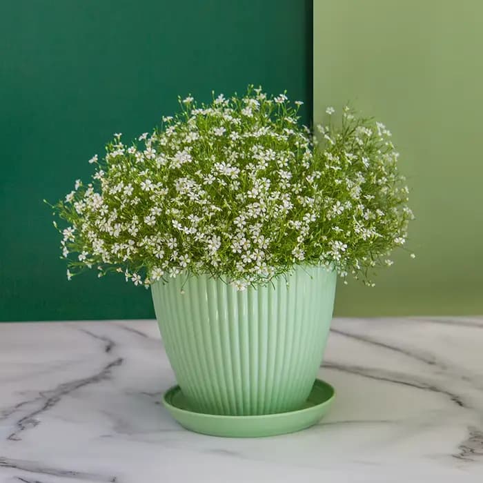 Pot de fleur rond jardinières succulentes Pot de plante avec plateau bureau balcon maison jardin décoration extérieur en Pot 5 tailles