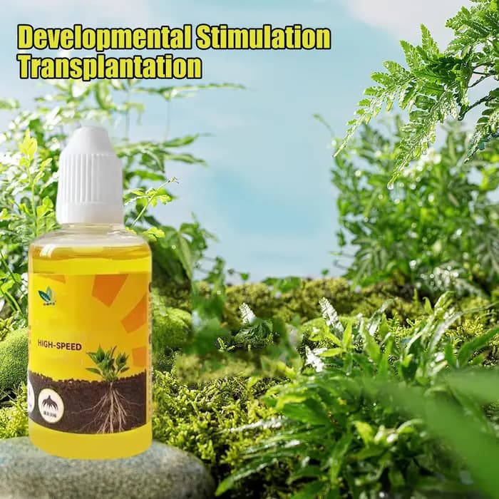 Stimulateur d'enracinement des plantes