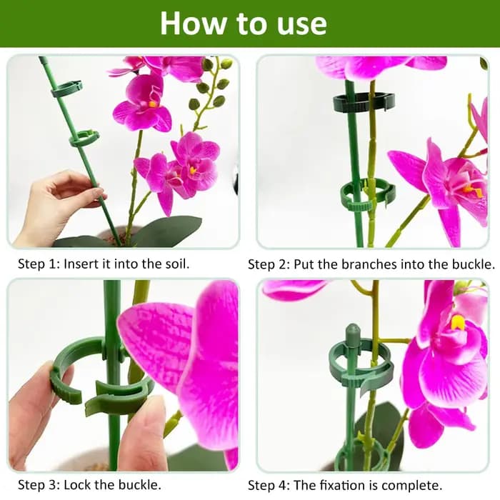 Piquets de Support pour plantes 90/60/30cm, réglables pour jardin, tige unique, Support de fleurs, b