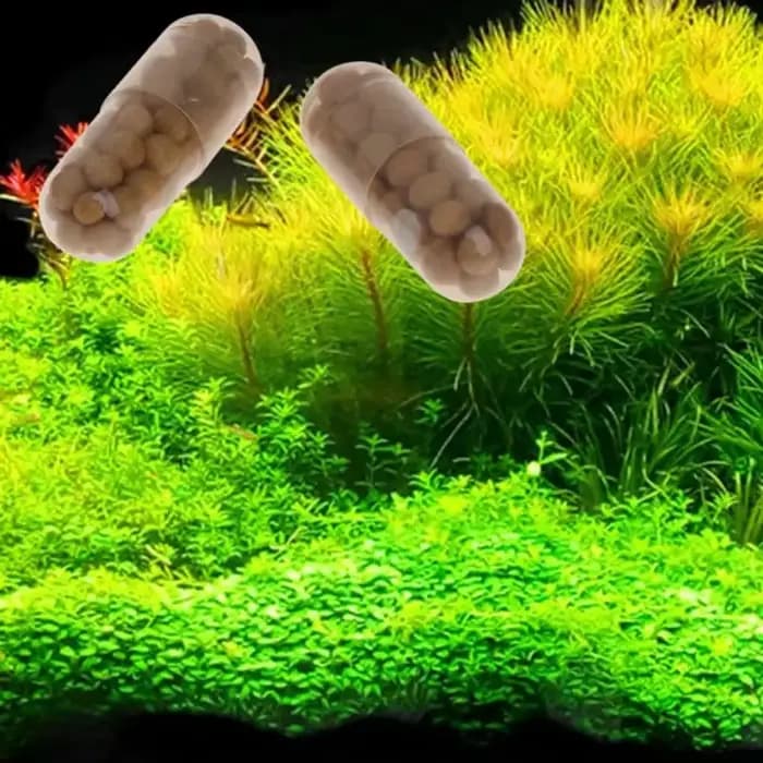 40 pièces graines de plantes d'aquarium sol Aquarium accessoires décoration flotteur aquatique eau herbe argile tasse engrais boue pour mauvaises herbes