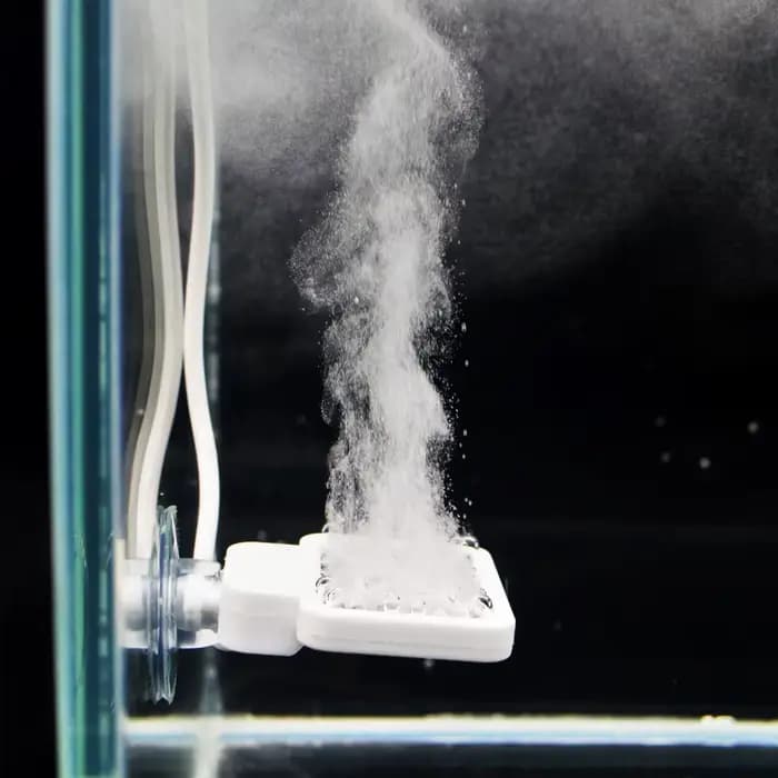 Dissolvant d'algues d'aquarium
