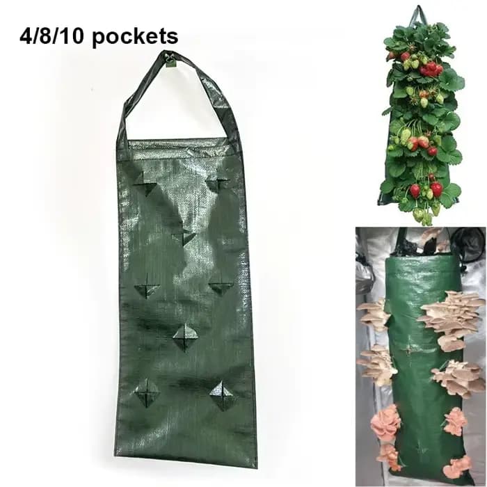 Pot de fleur de jardin vertical suspendu au mur, 4, 8, 10 poches, plantes à fraises, sacs PE, planta