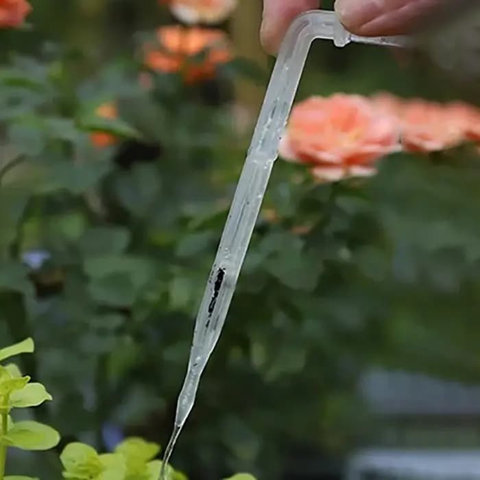 Kit d'irrigation par Micro goutte-à-goutte Transparent, 1/4 pouces, régulateur de flèche courbé, con