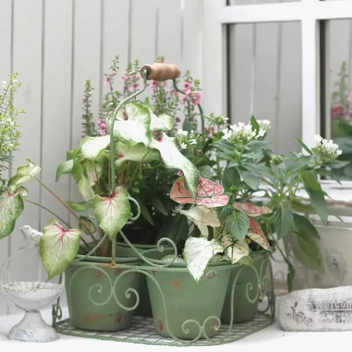 Ins rétro jardin fleur ferronnerie faire vieille plante bassin multi grille conception succulente conteneur pour balcon cour bonsaï Pot