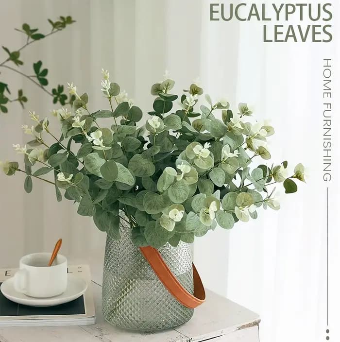 Tiges de feuilles d'eucalyptus
