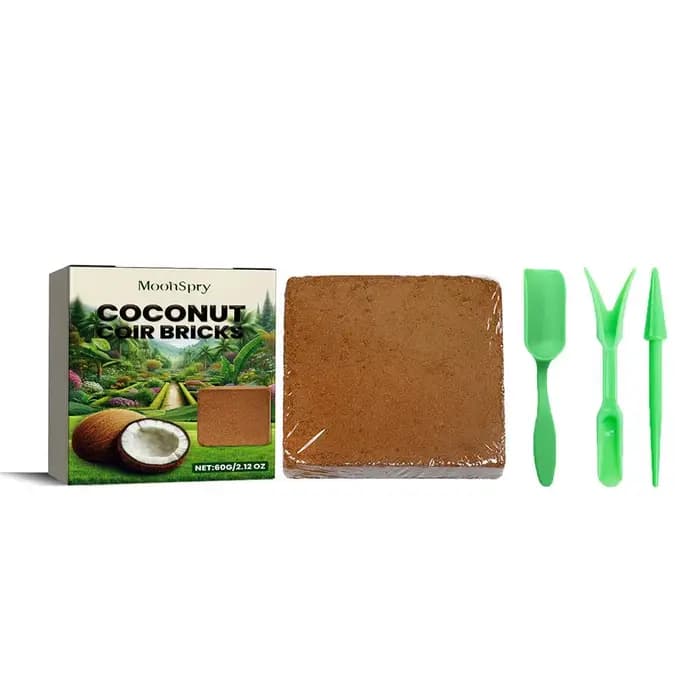 Coquille de noix de coco biologique naturelle de haute qualité