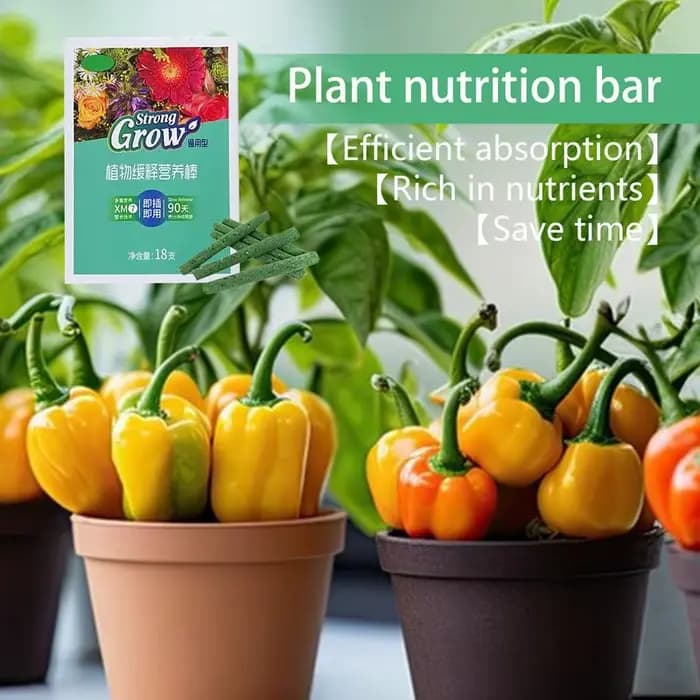 18 pièces/boîte plante bâtons à dégagement lent nutritif bâton à libération lente engrais intérieur Pot de fleur plantes