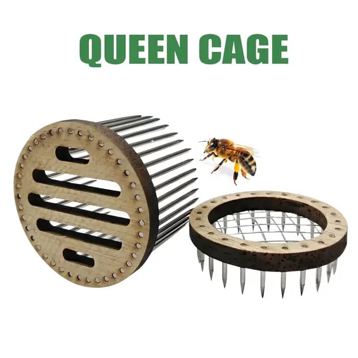 Cage à abeilles en bois, Type d'aiguille en acier inoxydable, receveur, salle d'isolation, équipemen
