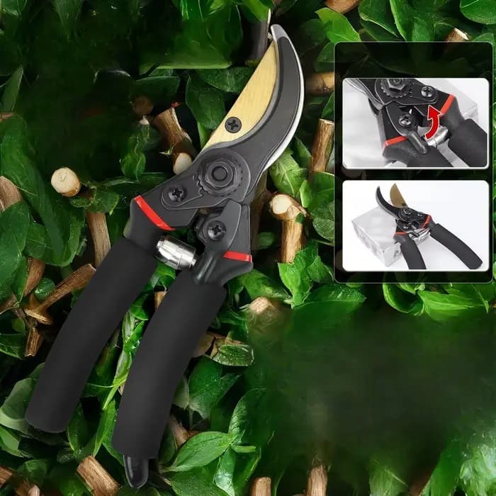 【Design d’économie d’écureuil】 Ciseaux de jardinage sécateur de branches, sécateur de jardin d’artis
