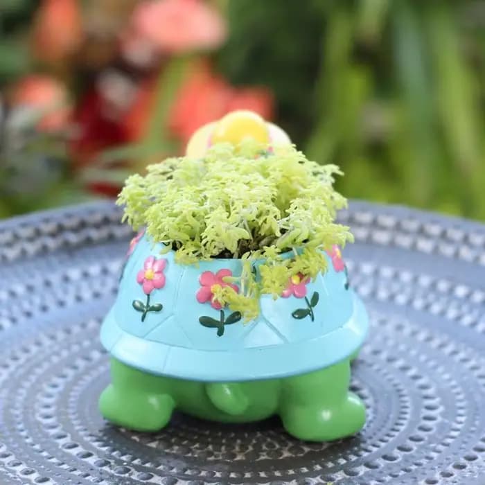 Pots plantes succulentes en forme conteneur jardinière d'animaux