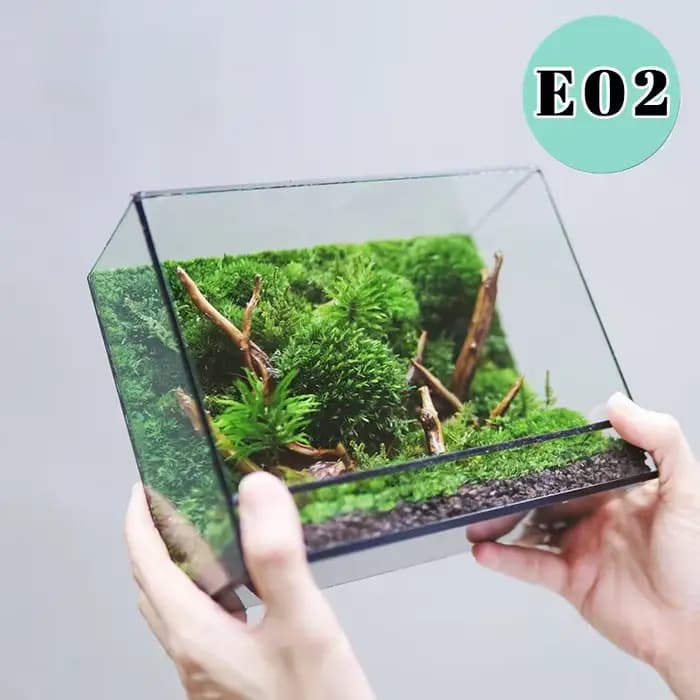 Mini terrarium écologique en verre pour forêt tropicale, fougères et mousse, carré, géométrique, miniatures, vase à plantes, conteneur, serre de table