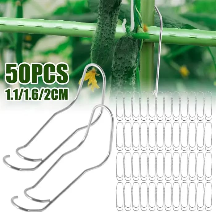 Boucles de connexion en treillis pour plantes