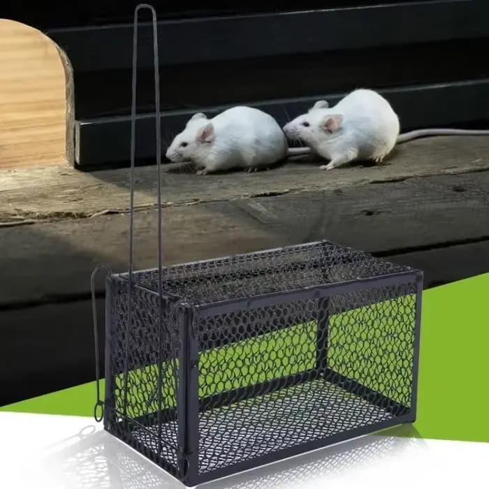 Piège à rats entièrement automatique pour l'intérieur de la maison, pour éliminer les souris, un out