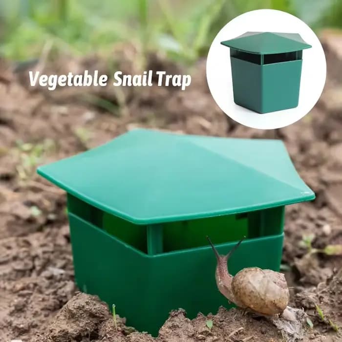 Pièges à escargots pentagonaux pour jardins potagers et plantes succulentes