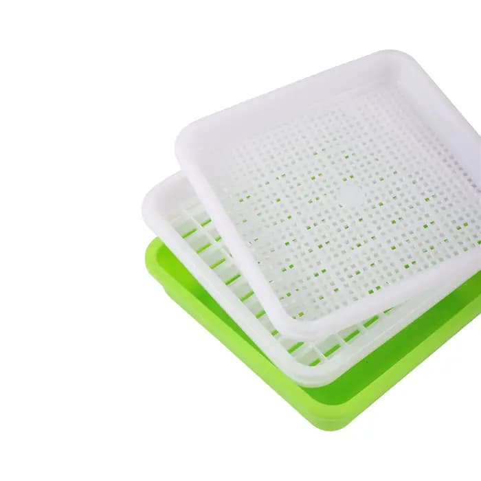 Boîte hydroponique pour germer des cacahuètes, graines, blé, graines, graines, graines, plateau pour germer, chat, herbe