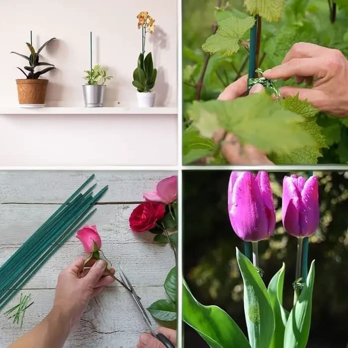 Piquets de plantes en bambou, Support de bâtons de plantes, Support de plantes florales en bois, Sup