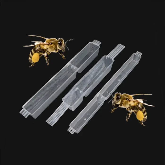 1 pièces mangeoire pour abeilles en plastique 0.6kg à 1.5 kg alimentation miel boîte d'alimentation abeille apiculteur outils pour l'apiculture fournitures d'équipement pour l'apiculture