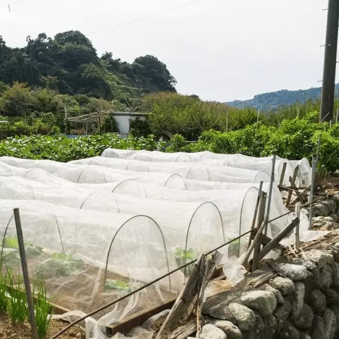 Cerceaux de serre adaptés aux tunnels de plantes plus larges
