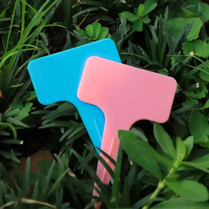 Marqueurs de plantes en plastique PVC blanc de type T, 6x10cm, 20/100 pièces, pour pépinière, jardin