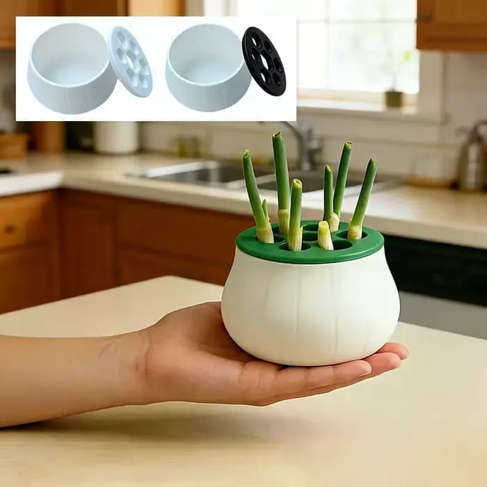 Pot de reproduction d'oignons verts imprimé en 3D – Station de propagation hydroponique pour jardinage intérieur et domestique