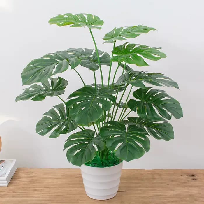 Arbre Monstera en plastique sans Pot d'aloès vert