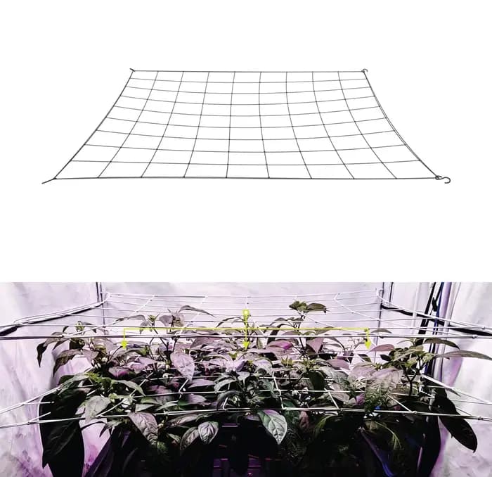 Filet en treillis pour tente de culture, support de plante, élastique, ScrOG, LST, HST, boîte de cul