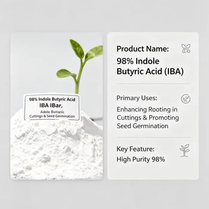 Engrais pour l'enracinement des fleurs ornementales, poudre d'acide indole-butyrique (IBA) à 98% pou
