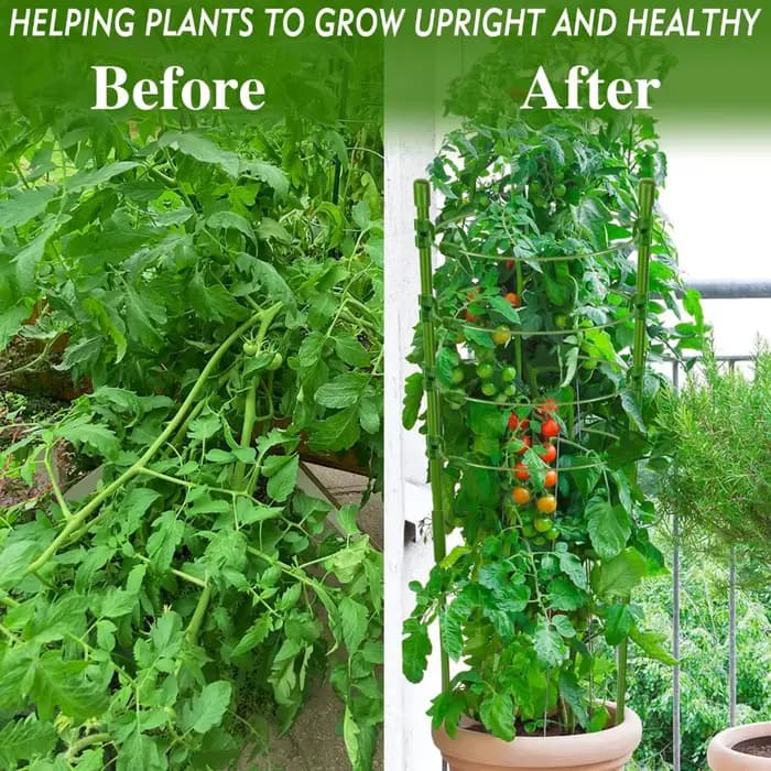 Cage à tomates réglable de 90cm, 36 pouces, Support pour plantes, treillis de concombre pour plantes