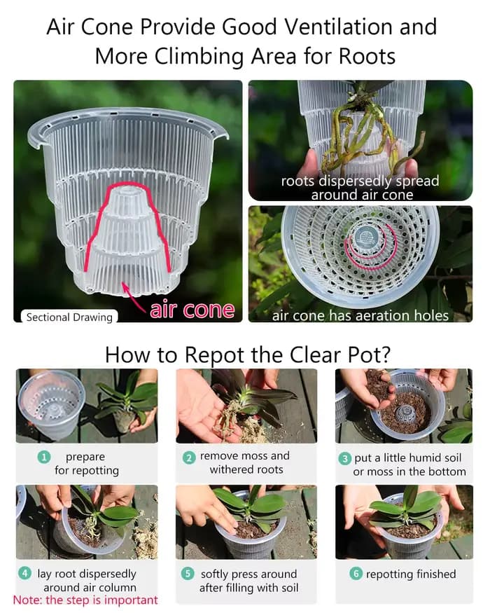 Meshpot-Pots d'orchidées transparents avec trous