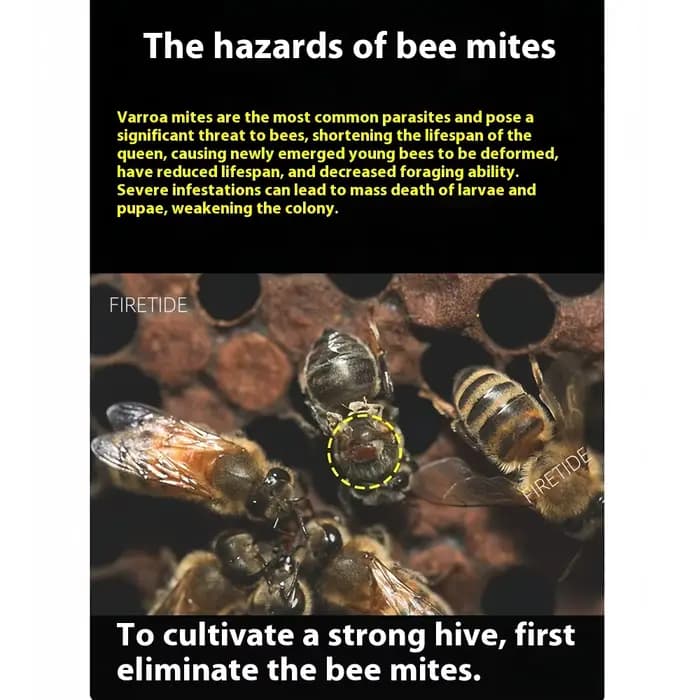 Vente chaude traitement des acariens des abeilles Machine à brouillard acide oxalique atomisation dispositif