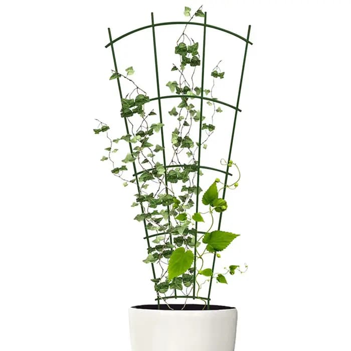 Cadre de Support d'escalade, piquet de plante, treillis de vigne, Supports métalliques, fournitures