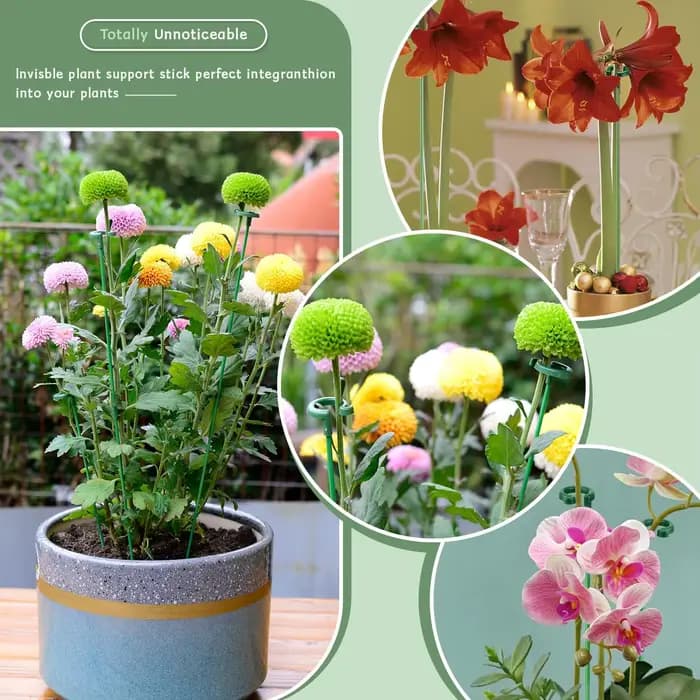Supports pour plantes, papillons, orchidées, fleurs, tiges de fixation en pot, réutilisables, Protec