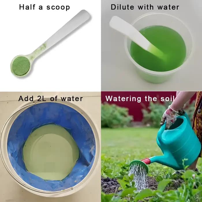 Engrais organique à base d'extrait d'algues 60g