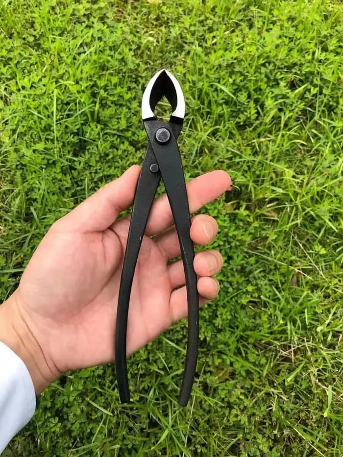Ciseaux à tête ronde en acier forgé pour coupe de branches d'arbre de jardin, outils de bonsaï, outils de mise en forme des bonsaï